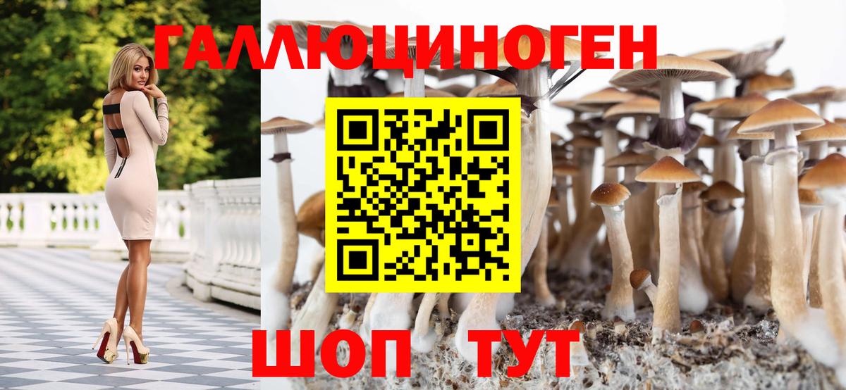 Псилоцибиновые грибы GOLDEN TEACHER  Галлюциногенные грибы прущие грибы  Вход с VPN  Новокубанск 