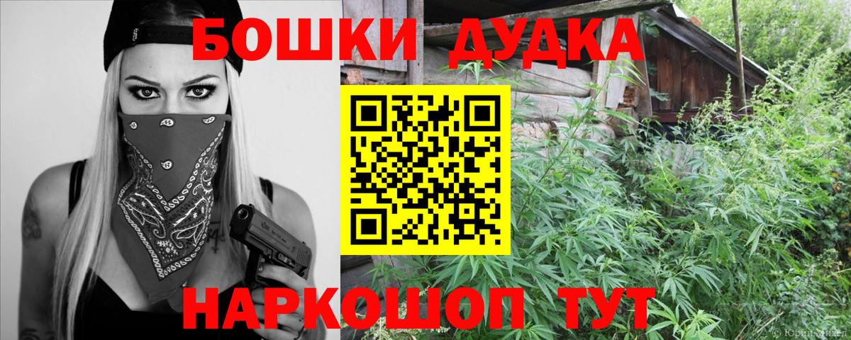 Бошки Шишки планчик Новокубанск